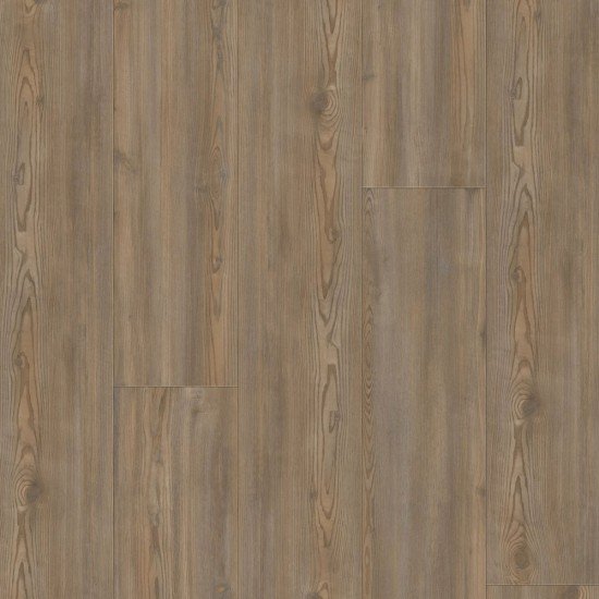 COREtec Plus Premium - Treasure Pine